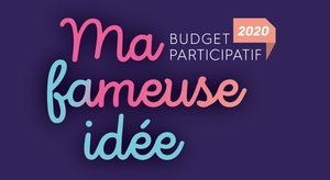 Budget primitif 2020 du département de la Meuse
